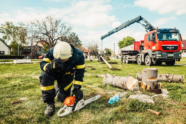 Arborist and Landscaper Vehicle Safety Tips